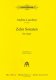 10 Sonaten für Orgel - Lucchesi, Andrea