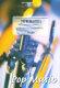 Youre Beautiful - Frank Bernaerts