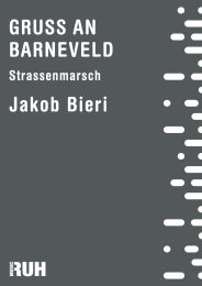 Gruss an Barneveld - Jakob Bieri