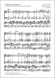 Verbum caro factum est - Haydn, Michael - Horn, Paul