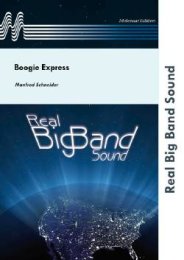 Boogie Express - Schneider, Manfred
