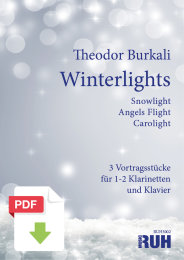 Winterlights - Theodor Burkali