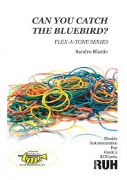 Can You Catch The Bluebird - Sandro Blastic