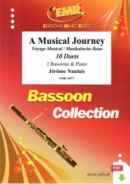 A Musical Journey - Jérôme Naulais