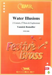 Water Illusions - Yannick Romailler