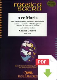 Ave Maria - Charles Gounod - Jérôme Naulais