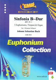 Sinfonia Bb-Dur - Johann Sebastian Bach - Klemens Schnorr