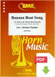 Banana Boat Song - Jérôme Naulais (Arr.)