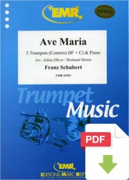 Ave Maria - Franz Schubert - Julian Oliver - Bertrand Moren