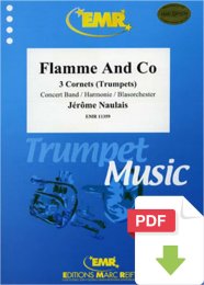 Flamme and Co - Jérôme Naulais