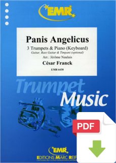 Panis Angelicus - César Franck - Jérôme Naulais