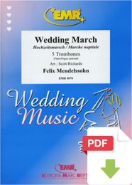 Wedding March - Felix Mendelssohn - Scott Richards