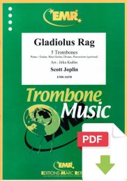 Gladiolus Rag - Scott Joplin - Jirka Kadlec