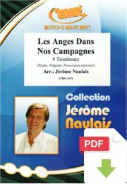 Les Anges Dans Nos Campagnes - Jérôme...