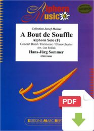 A Bout de Souffle - Hans-Jürg Sommer - Jan Sedlak