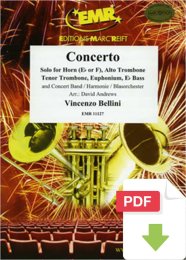 Concerto - Vincenzo Bellini - David Andrews