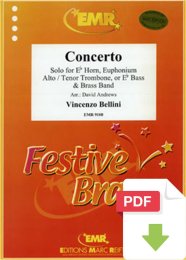 Concerto - Vincenzo Bellini - David Andrews