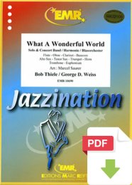 What A Wonderful World - Bob Thiele - George D. Weiss -...