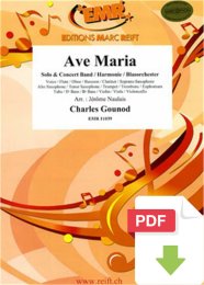 Ave Maria - Charles Gounod - Jérôme Naulais