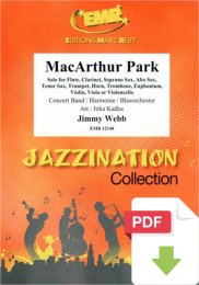 MacArthur Park - Jim Webbmy - Jirka Kadlec