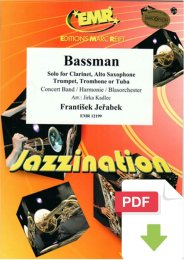 Bassman - Frantisek Jerabek - Jirka Kadlec