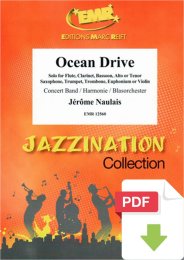 Ocean Drive - Jérôme Naulais