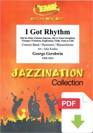 I Got Rhythm - George Gershwin - Jirka Kadlec