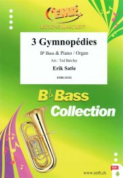 3 Gymnopédies - Erik Satie - Ted Barclay