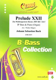 Prelude XXII - Johann Sebastian Bach - Walter Hilgers