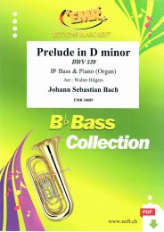 Prelude in D minor - Johann Sebastian Bach - Walter Hilgers