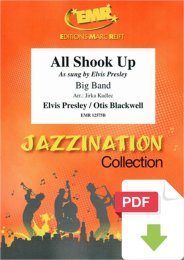 All Shook Up - Elvis Presley - Otis Blackwell - Jirka Kadlec