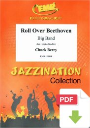 Roll Over Beethoven - Chuck Berry - Jirka Kadlec