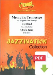 Memphis Tennessee - Chuck Berry - Jirka Kadlec