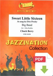 Sweet Little Sixteen - Chuck Berry - Jirka Kadlec