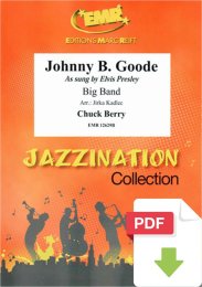 Johnny B. Goode - Chuck Berry - Jirka Kadlec