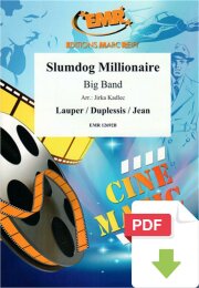 Slumdog Millionaire - Cyndi Lauper - Jerry Duplessis -...