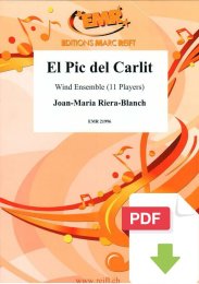El Pic del Carlit - Joan-Maria Riera-Blanch