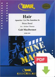Hair - Galt Macdermot - Jérôme Thomas