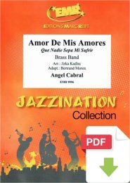 Amor De Mis Amores - Angel Cabral - Jirka Kadlec -...