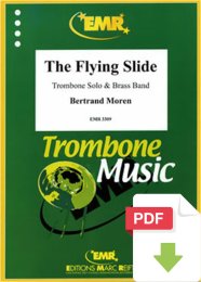 The Flying Slide - Bertrand Moren