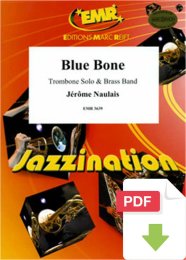 Blue Bone - Jérôme Naulais