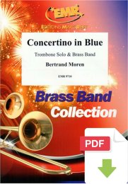 Concertino in Blue - Bertrand Moren
