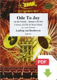 Ode To Joy - Ludwig Van Beethoven - Scott Richards