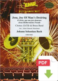 Jesu, Joy Of Mans Desiring - Johann Sebastian Bach - John...