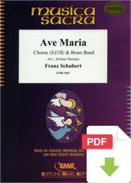 Ave Maria - Franz Schubert - Jérôme Naulais...
