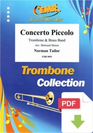 Concerto Piccolo - Norman Tailor - Bertrand Moren