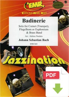 Badinerie - Johann Sebastian Bach - Jérôme Naulais - Bertrand Moren