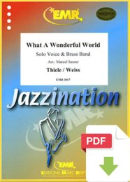 What A Wonderful World - Bob Thiele - George D. Weiss -...