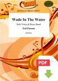 Wade In The Water - Ted Parson - Bertrand Moren