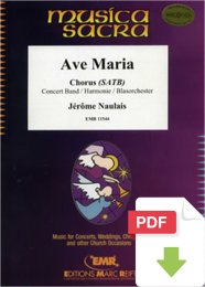 Ave Maria - Jérôme Naulais